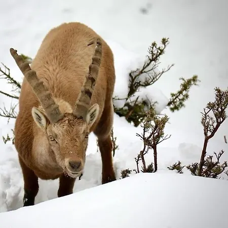 L'appartamentino Del Cuore *