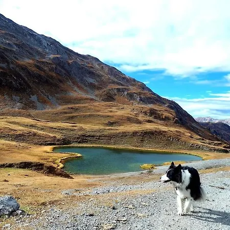 L'appartamentino Del Cuore Bormio