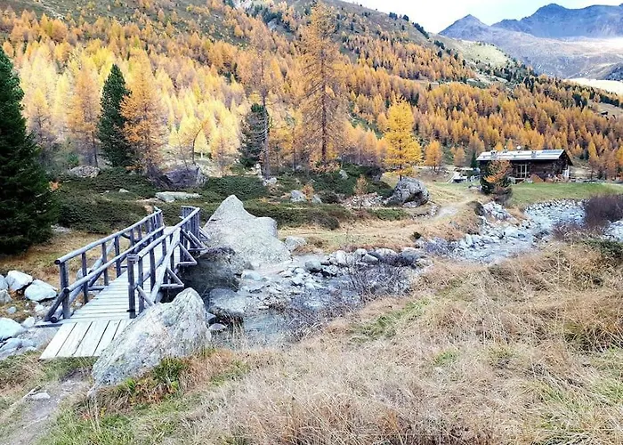 L'appartamentino Del Cuore 公寓 博尔米奥