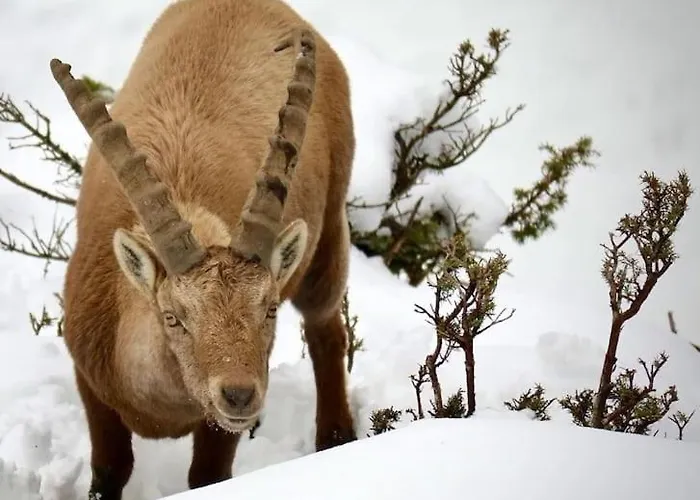 L'appartamentino Del Cuore *