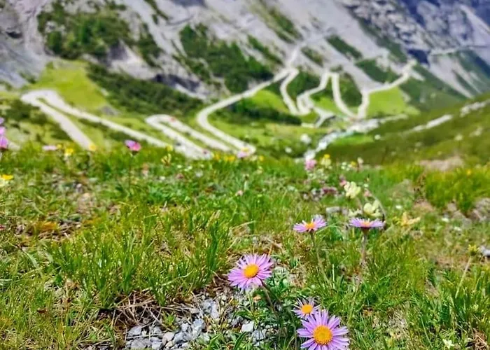 L'appartamentino Del Cuore 公寓 博尔米奥