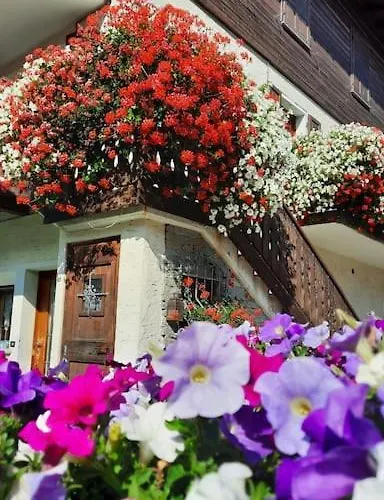 公寓 L'appartamentino Del Cuore 博尔米奥