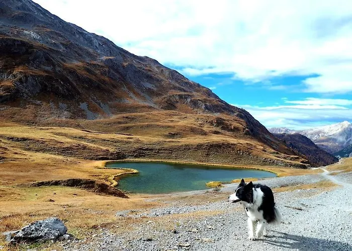 L'appartamentino Del Cuore ボルミオ