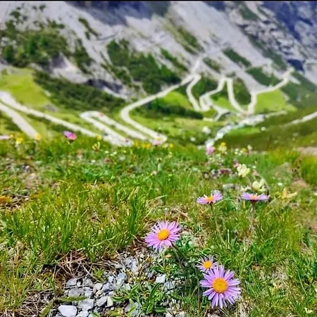 L'appartamentino Del Cuore Apartmán Bormio